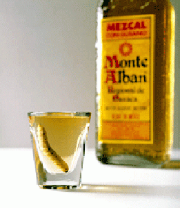 shot of mezcal with worm